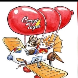 Аватар канала «Corgi team | Команда помощи корги»