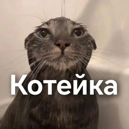 Аватар канала «Котейка»