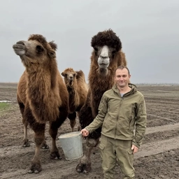 Аватар канала «Derevenski_parenek»