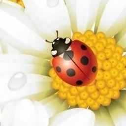 Аватар канала «Открытки для души»