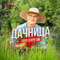 Аватар канала «Дачница»