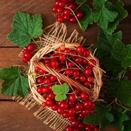 Аватар канала «Корзинка»