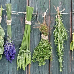 Аватар канала «Здравница. Народная медицина»