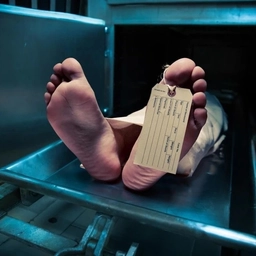 Аватар канала «Блог из морга»