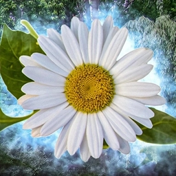 Аватар канала «Цветочница 🌺»