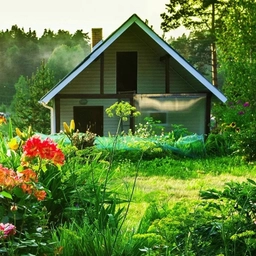 Аватар канала «Моя дача»