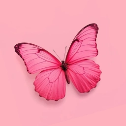 Аватар канала «З Е Ф И Р»