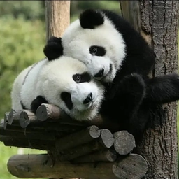 Аватар канала «МИР ПАНД»