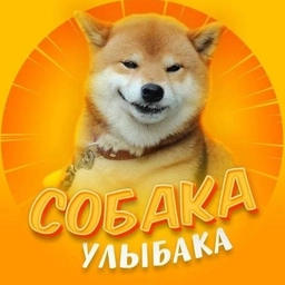 Аватар канала «Собакен | Животные Юмор Смех Улыбка Приколы Питомцы Домашние Животные Отдых Развлечение Смех Коты Видео»