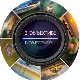 Аватар канала «Животные, природа»