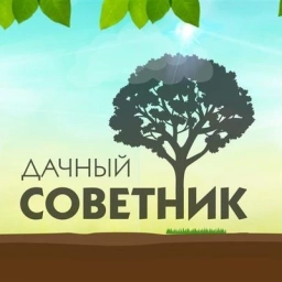 Аватар канала «Дачный советник»
