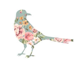 Аватар канала «Магазин женской одежды Сорока»