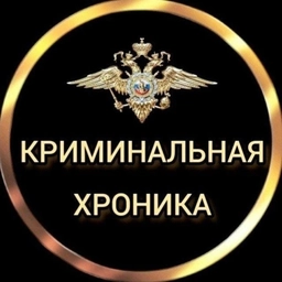 Аватар канала «КРИМИНАЛЬНАЯ ХРОНИКА»