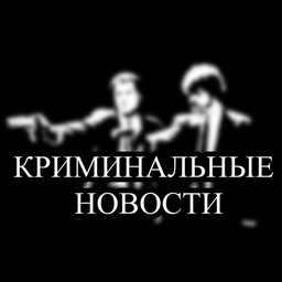 Аватар канала «Криминальные новости»