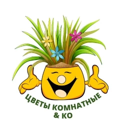 Аватар канала «Цветы комнатные & Ко»