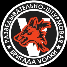 Аватар канала «1-я ДРШБр Волки»
