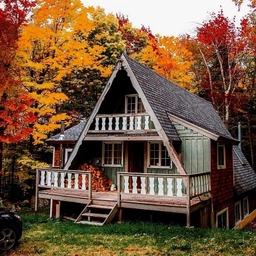 Аватар канала «Дачные хитрости 2026 | Сад | Огород»