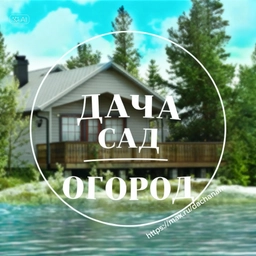 Аватар канала «🏡ДАЧА | САД | ОГОРОД👨🏼‍🌾»