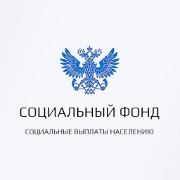Аватар канала «Подскажите СФР | Вопросы к СФР»