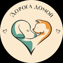Аватар канала «Дорога Домой (г. Муром)»