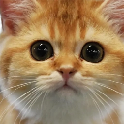 Аватар канала «Любимые питомцы»