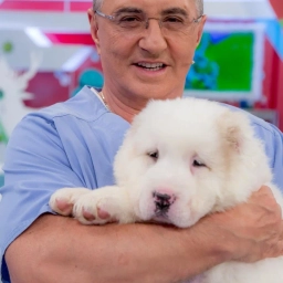 Аватар канала «ДОКТОР МЯСНИКОВ (настоящий😁)»