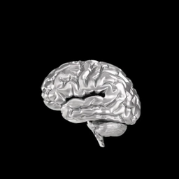 Аватар канала «Дубровская»