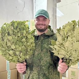 Аватар канала «Дубовый веник | Dubvenik (Веники для бани)»