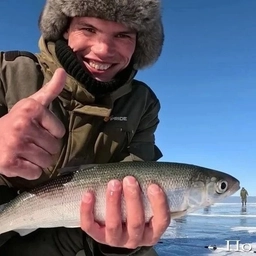 Аватар канала «По душе»