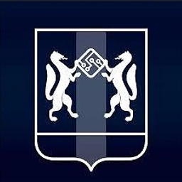 Аватар бота «ЕКЦ Новосибирской области»