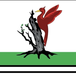 Аватар канала «Елабуга Светлый»