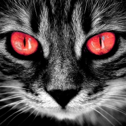 Аватар канала «English Vibe & Verbs»