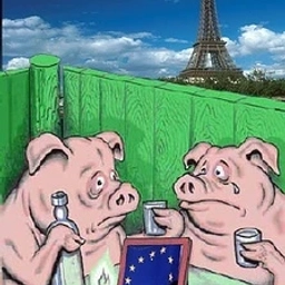 Аватар канала «Агония Европы — прощай, Евросоюз»