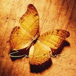 Аватар канала «এꨄ Фото для души এꨄ»