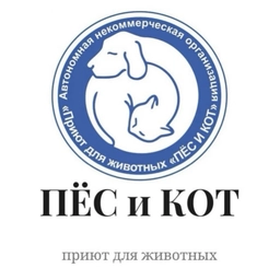 Аватар канала «Приют Пес и Кот Южно-Сахалинск»