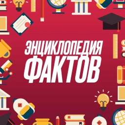 Аватар канала «Энциклопедия фактов»