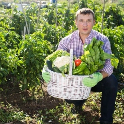 Аватар канала «О Фазенде. Загородная жизнь»