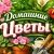 Аватар канала «Домашние цветы | Комнатные растения»