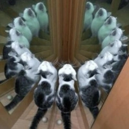 Аватар канала «Follyflly»