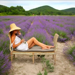 Аватар канала «forest_fairy_home»