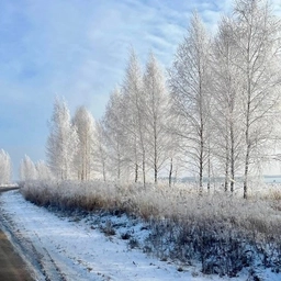 Аватар канала «Газета Великолукского района "НАШ ПУТЬ"»