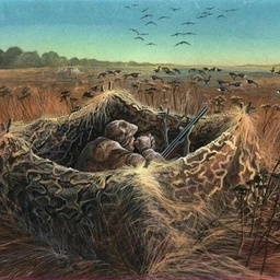 Аватар канала «Охота на Гуся PRO»