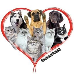 Аватар канала «Goshanchik83»