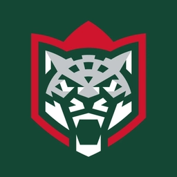 Аватар канала «ХК «Ак Барс»»