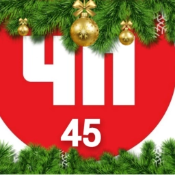 Аватар канала «Чп 45 регион»