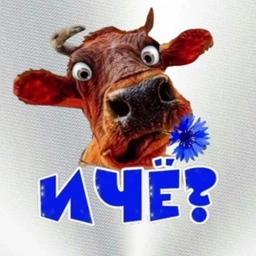 Аватар канала «И чё?»