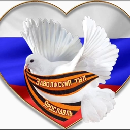 Аватар канала «ВД "Заволжский тыл" г.Ярославль.»