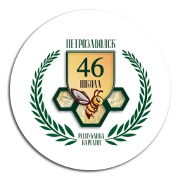 Аватар канала «МОУ "Средняя школа № 46" г. Петрозаводск»
