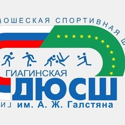 Аватар канала «Гиагинская ДЮСШ им. А.Ж. Галстяна»