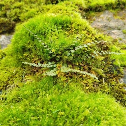 Аватар канала «МБДОУ 42 "Росток"»